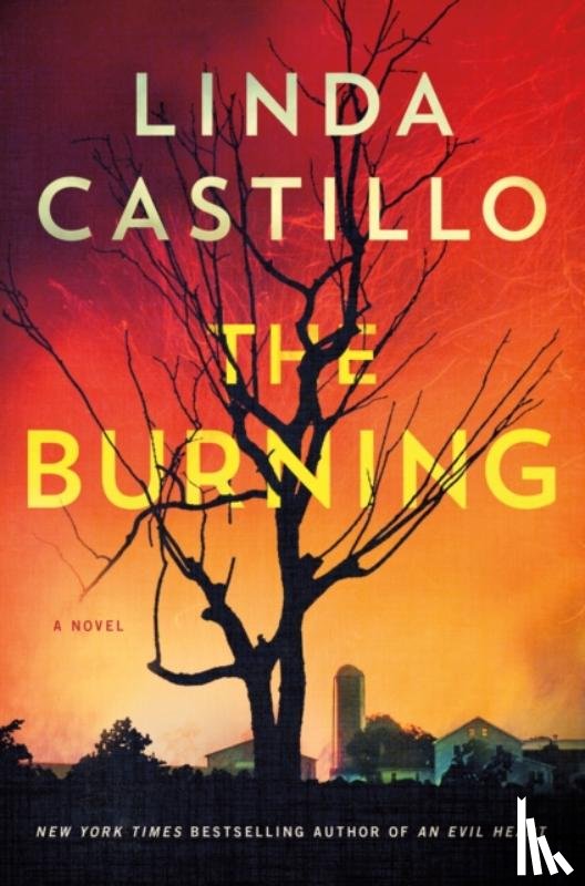 Castillo, Linda - The Burning