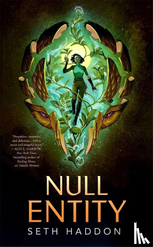 Haddon, Seth - Null Entity