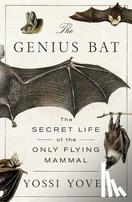 Yovel, Yossi - The Genius Bat: The Secret Life of the Only Flying Mammal