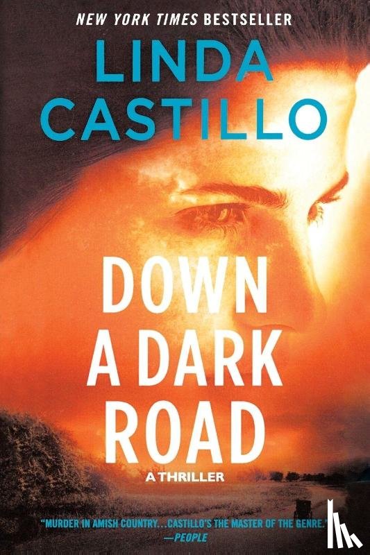 Castillo, Linda - Down a Dark Road