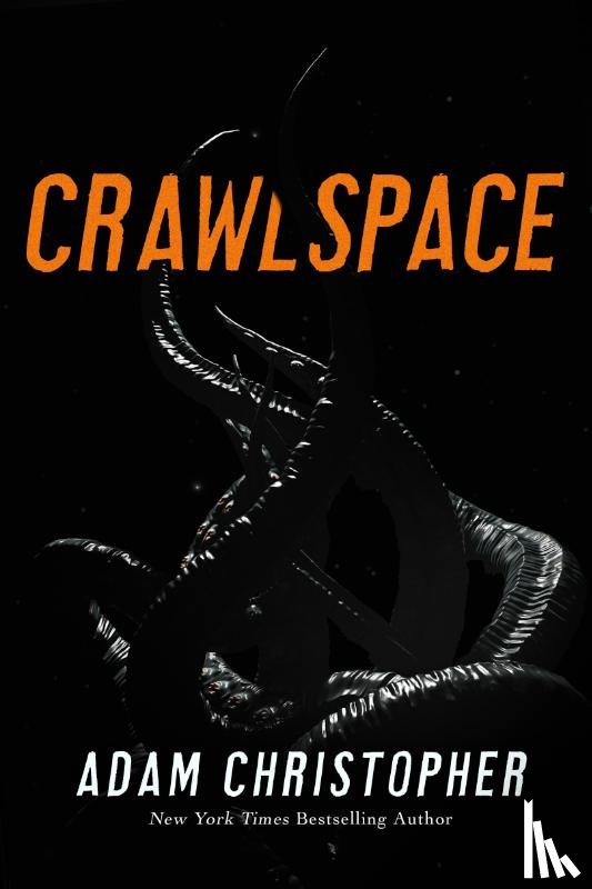 Christopher, Adam - Crawlspace