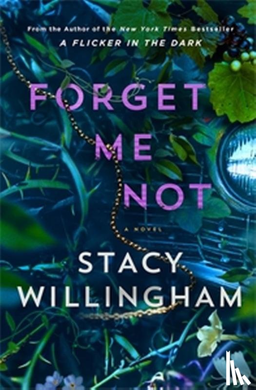 Willingham, Stacy - Forget Me Not
