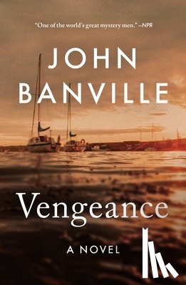 Banville, John - Vengeance