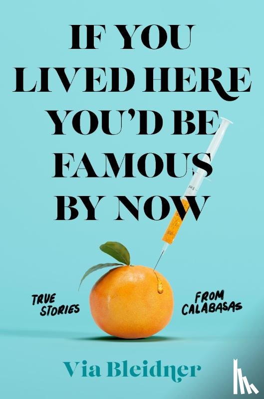 Bleidner, Via - If You Lived Here You'd Be Famous by Now