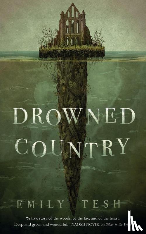 Tesh, Emily - Drowned Country