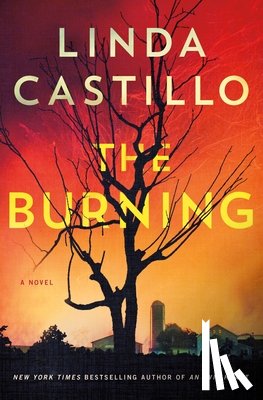 Castillo, Linda - Castillo, L: Burning