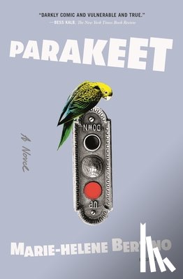 Bertino, Marie-Helene - Parakeet