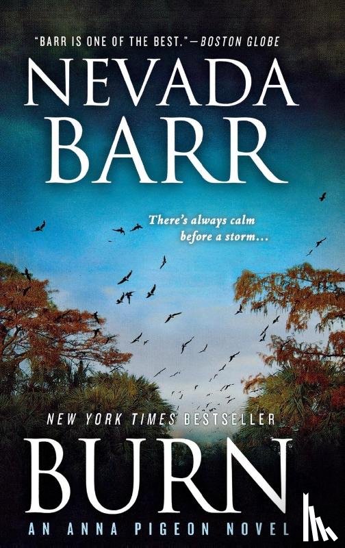 Barr, Nevada - Burn