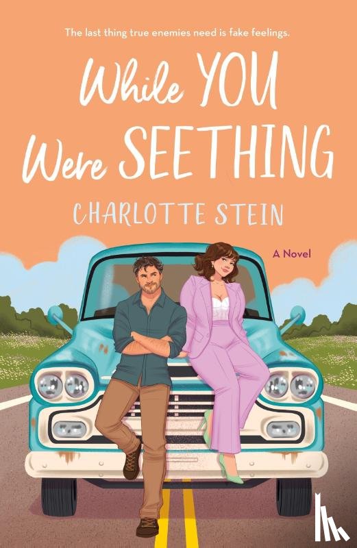 Stein, Charlotte - While You Were Seething