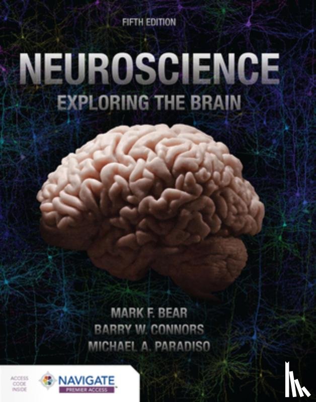 Bear, Mark, Connors, Barry, Paradiso, Michael A. - Neuroscience: Exploring the Brain