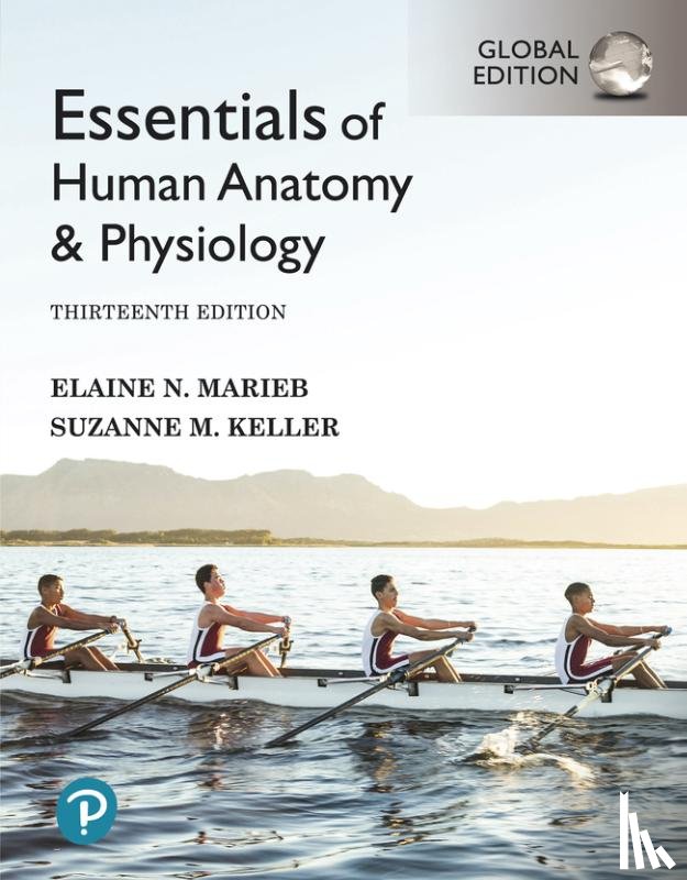 Marieb, Elaine, Keller, Suzanne - Essentials of Human Anatomy & Physiology, Global Edition