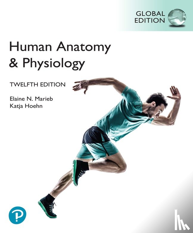Marieb, Elaine, Hoehn, Katja - Human Anatomy & Physiology, Global Edition