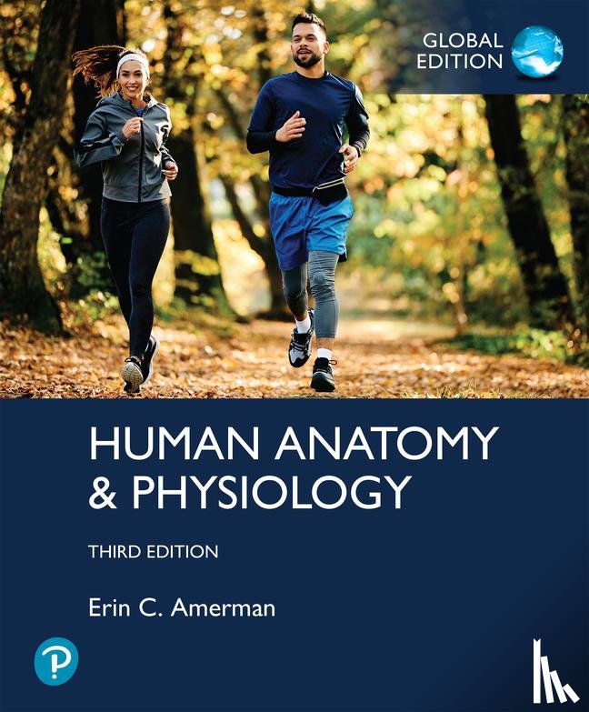 Amerman, Erin - Human Anatomy & Physiology, Global Edition
