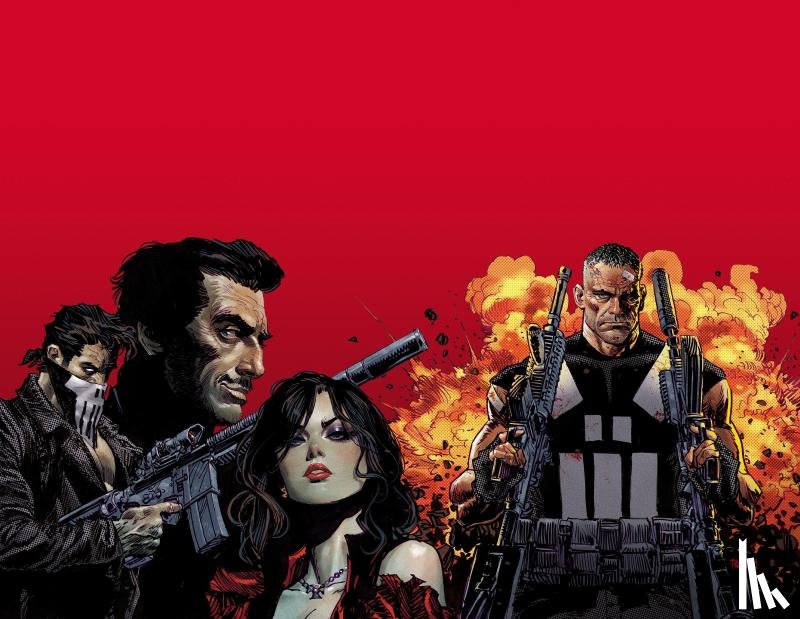 Palmiotti, Jimmy - Marvel Knights: Punisher