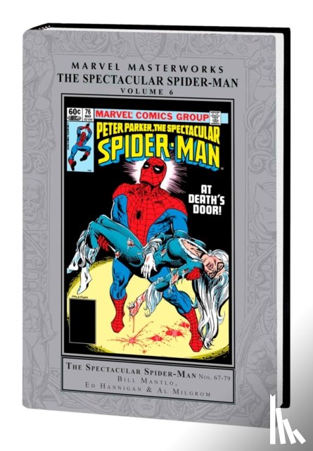 Mantlo, Bill, DeFalco, Tom - Marvel Masterworks: The Spectacular Spider-Man Vol. 6