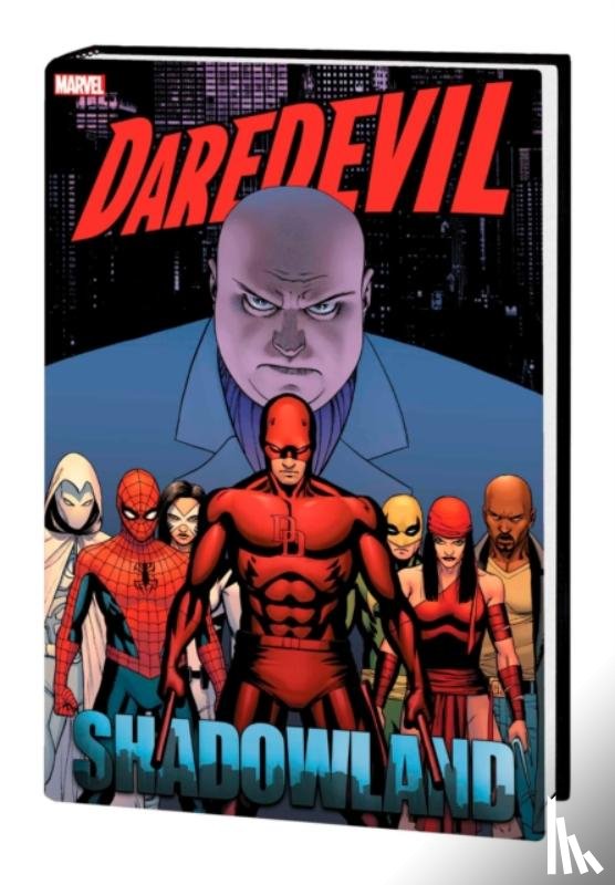 Diggle, Andy, Johnston, Antony, Wells, Zeb - Daredevil: Shadowland Omnibus Cassaday Cover (New Printing)