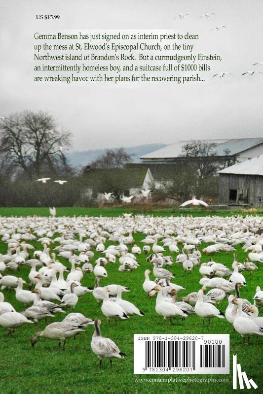 Walker, Diane - Return of the Snow Goose