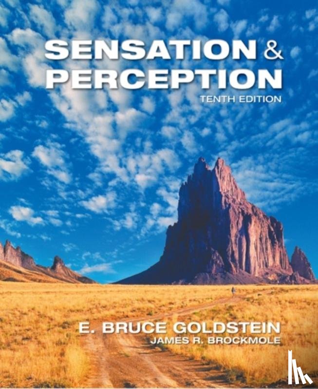 Goldstein, E. (University of Pittsburgh and University of Arizona), Brockmole, James (Notre Dame University) - Sensation and Perception