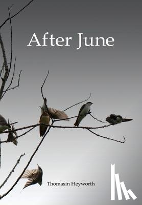 Heyworth, Thomasin - After June