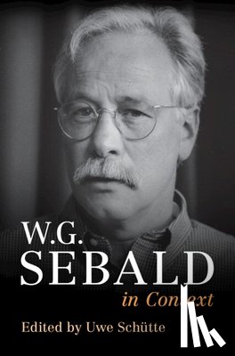  - W. G. Sebald in Context
