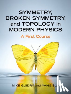Guidry, Mike (University of Tennessee, Sun, Yang (Shanghai Jiao Tong University - Symmetry, Broken Symmetry, and Topology in Modern Physics