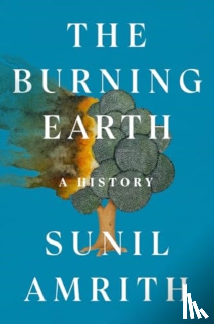 Amrith, Sunil - The Burning Earth