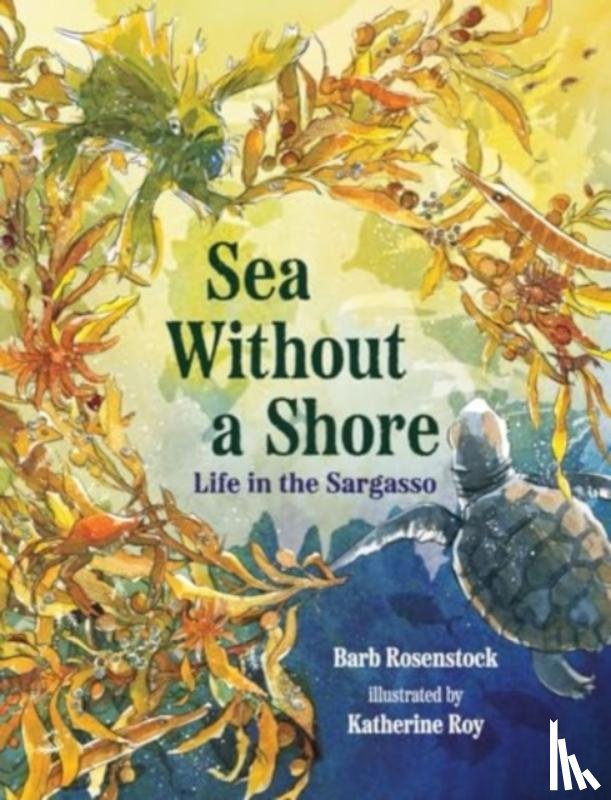 Rosenstock, Barb - Sea Without a Shore