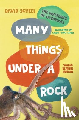 Scheel, David - Many Things Under a Rock