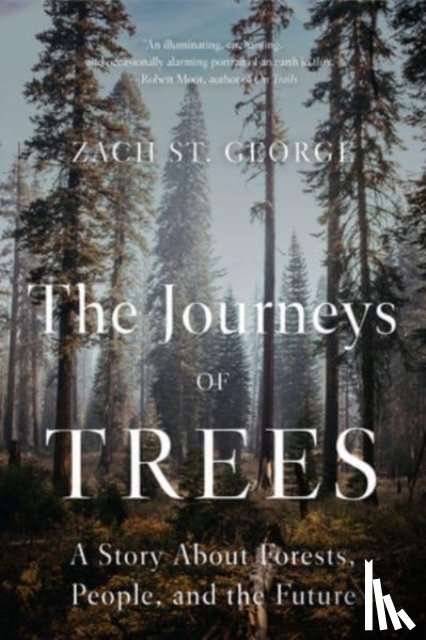 St. George, Zach - The Journeys of Trees