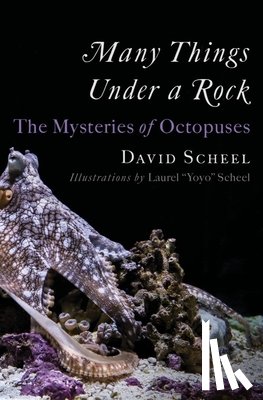 Scheel, David - Many Things Under a Rock: The Mysteries of Octopuses