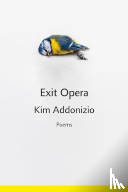 Addonizio, Kim - Exit Opera