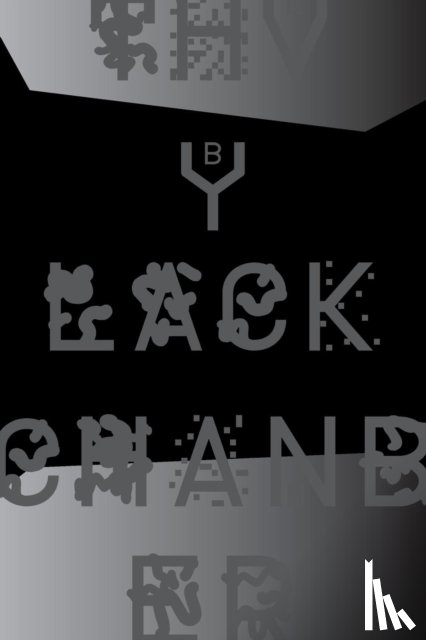 Quaranta, Domenico, Brusadin, Bani, Mattes, Eva, Mattes, Franco - The Black Chamber. Surveillance, Paranoia, Invisibility & the Internet