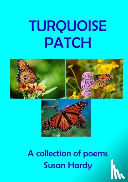 Hardy, Susan - Turquoise Patch