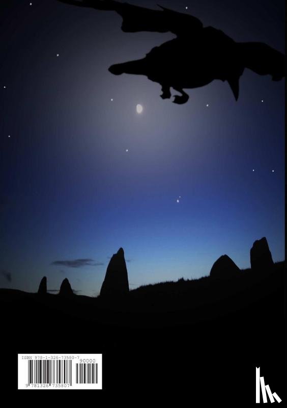 Sheridan, Thomas - The Druid Code: Magic, Megaliths and Mythology