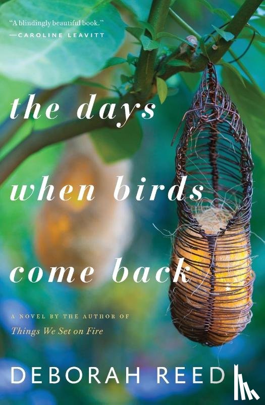 Reed Deborah Reed - The Days When Birds Come Back