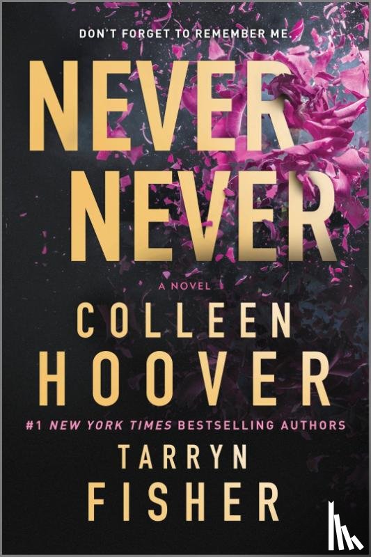 Hoover, Colleen, Fisher, Tarryn - Hoover, C: Never Never
