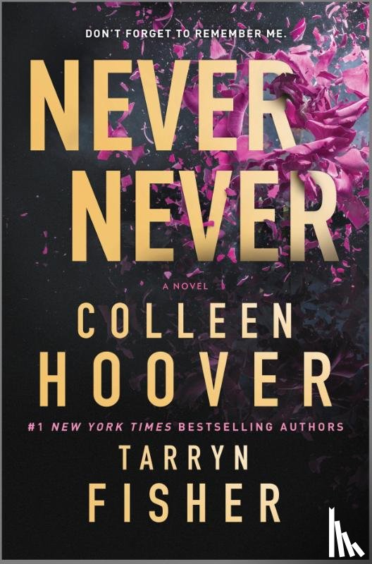 Hoover, Colleen, Fisher, Tarryn - Hoover, C: Never Never