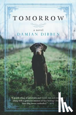Dibben, Damian - Tomorrow