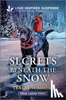 Summers, Teresa - Secrets Beneath the Snow