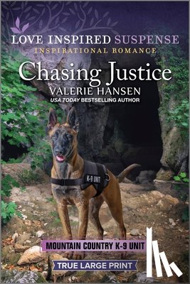 Hansen, Valerie - Chasing Justice