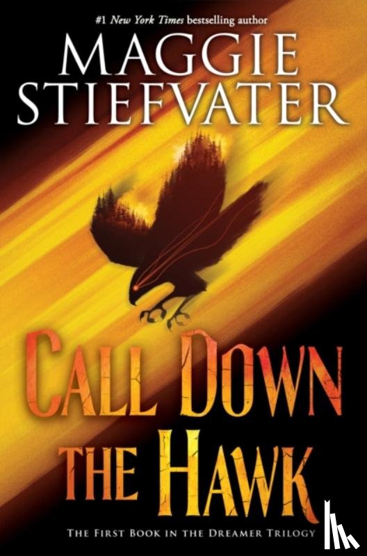 Stiefvater, Maggie - Call Down the Hawk (The Dreamer Trilogy, Book 1)