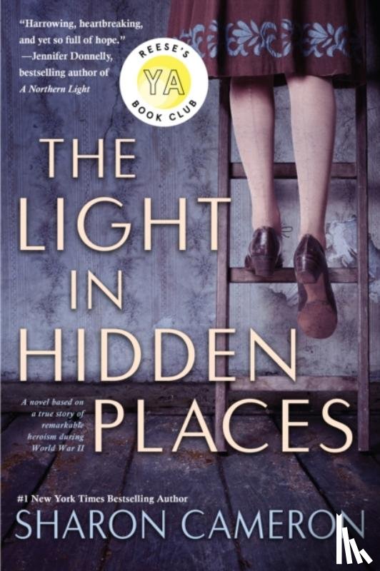 Cameron, Sharon - The Light in Hidden Places