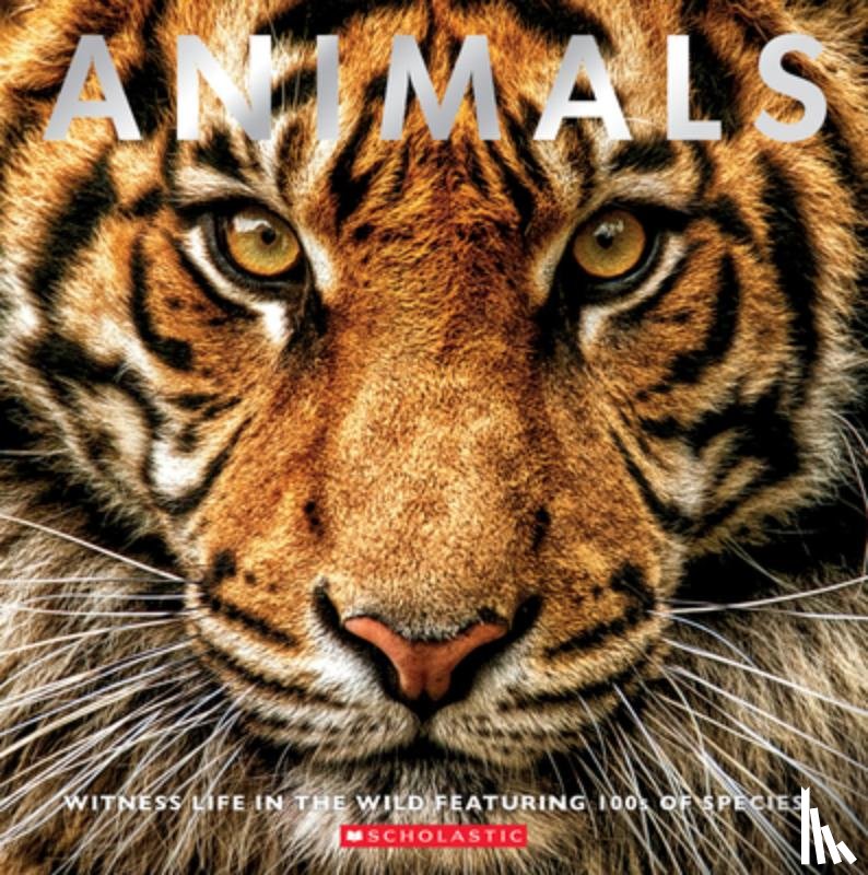 Scholastic - Animals