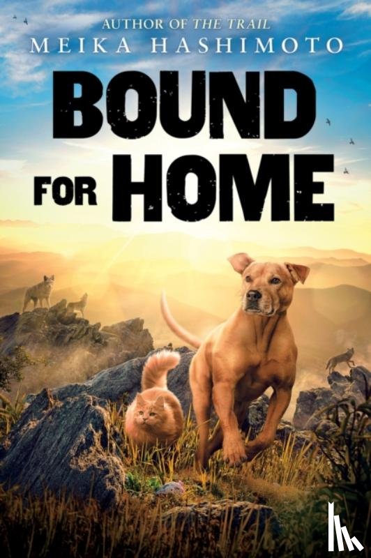 Hashimoto, Meika - Bound for Home