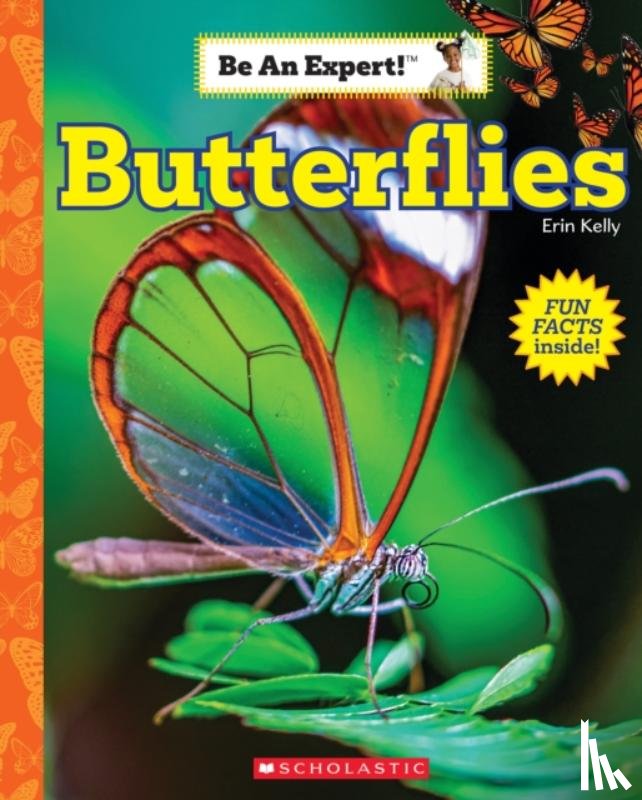Kelly, Erin - Butterflies (Be an Expert!)