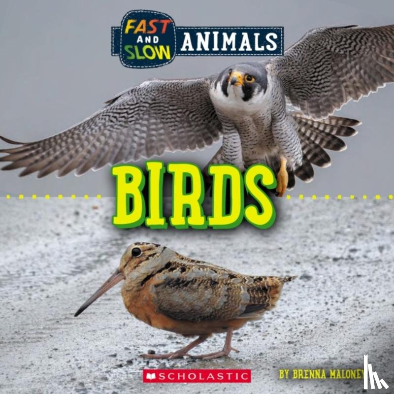 Maloney, Brenna - Birds (Wild World: Fast and Slow Animals)