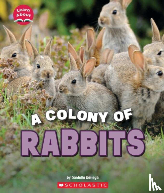 Denega, Danielle - A Colony of Rabbits (Learn About: Animals)