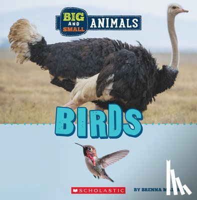 Maloney, Brenna - Birds (Wild World: Big and Small Animals)