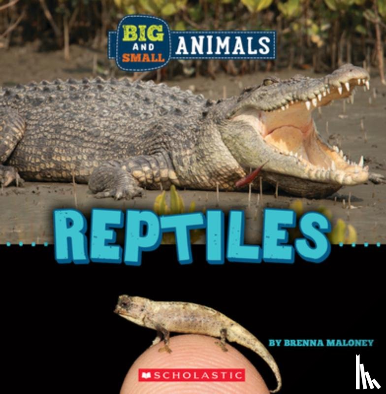 Maloney, Brenna - Reptiles (Wild World: Big and Small Animals)