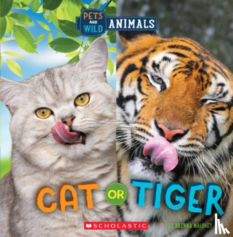 Maloney, Brenna - Cat or Tiger (Wild World: Pets and Wild Animals)